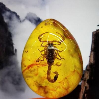 #ad Insect Stone Scorpions Inclusion Amber Resin Baltic Pendant Decoration S9C0