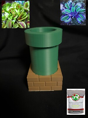 #ad Adult Size Venus Flytrap Fly Trap Carnivorous Plant Dionaea Muscipula 5in Pot