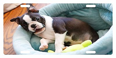 #ad BOSTON TERRIER DOG Custom License Plate CANINE BREED Emblem BED Version