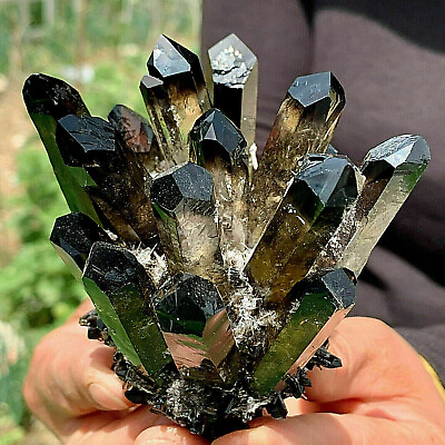 #ad 1PC New Find black Phantom Quartz Crystal Cluster Mineral Specimen Healing Gift
