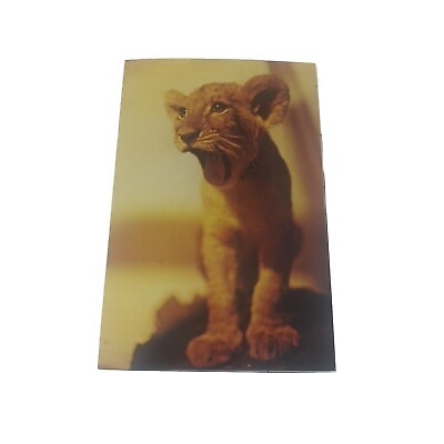 #ad Postcard St. Louis Zoological Park Lion Cub Big Cat Missouri MO Zoo 12.2.61