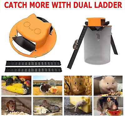 #ad 1 2 4pcs Bucket Lid Mouse Rat Trap Bucket Mousetrap Catcher USA FREE SHIPPING