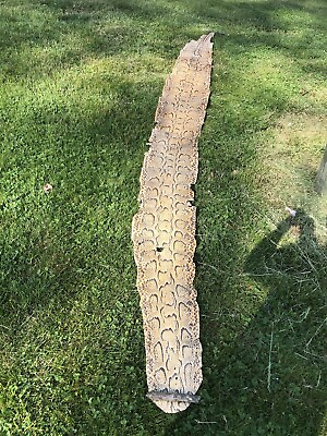 #ad Rare Full Body Super Long 14 Foot Rock Python Snake Skin Shed Hide Vintage Real