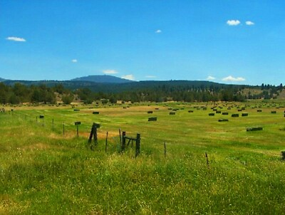 #ad WILDERNESS Residential Land California Pines MODOC COUNTY