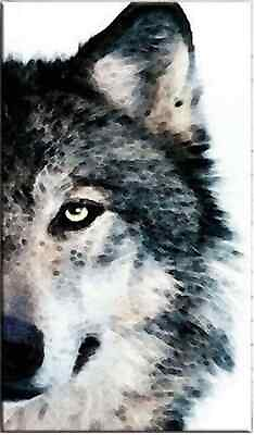 #ad New Black and White Wolf Oil Painting Handpainted on Canvas Without Frame