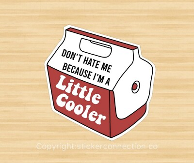 #ad Little Cooler Hate Me vinyl decal sticker for laptops hydroflask toolbox