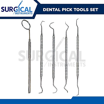 #ad 1 Set Dental Pick amp; Mirror Tools Sculpture Instrument Double End Oral Kit German