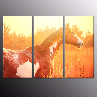 #ad Canvas Prints Animal Oil Painting print on canvas Horses Wall Art Home Decor 3pc