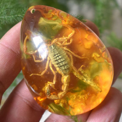 #ad Beautiful Amber Scorpion Fossil Insects Manual Polishing Lucky Ornaments Gift