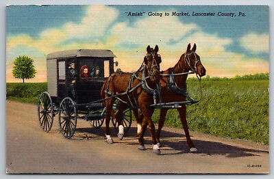 #ad Vintage Postcard Amish Going to Market Horse amp; Buggy Lancaster County PA Linen