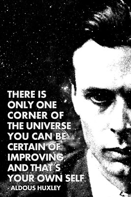 #ad One Corner of the Universe You Can Improve Aldous Huxley Quote Poster 12x18