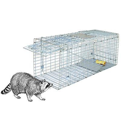 #ad Humane Small Live Animal Trap Control Steel Cage 32quot;x12.5quot;x12quot; Raccoon Skunk Cat