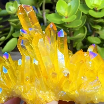 #ad Aura Yellow Citrine Quartz Crystal Titanium Cluster Healing Specimen Home Decor