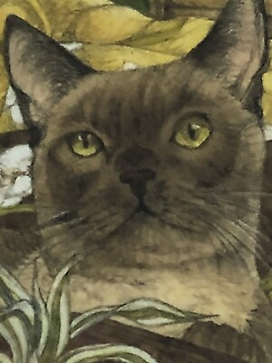 #ad Beautiful Burmese Cat Art Giclee Print Nicely Framed