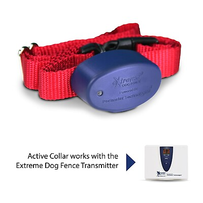#ad Extreme Dog Fence Add On or Replacement Receiver Collar G2 Free Blue Strap
