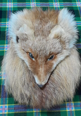 #ad Masked Sporran Red Fox scottish celtic bag Scottish Kilt fur Sporran
