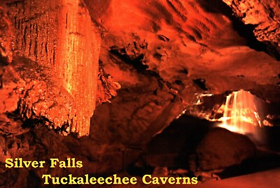#ad Postcard Chrome Silver Falls Tuckaleechee Caverns Townsend Tennessee