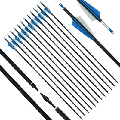 #ad 12 Pack Archery 31Inch Carbon Arrow Practice Hunting Arrows