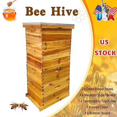 #ad 10 Frame 5 Boxes size Beehive Frames Bee Hive Frame Bee House for Beekeeping