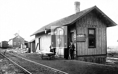 #ad Railroad Train Depot Butternut Michigan MI Reprint Postcard