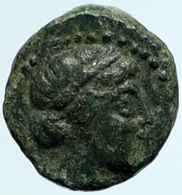 #ad ANTIOCHOS III the GREAT Rare R1 Ancient Greek SELEUKID Coin ELEPHANT i104409