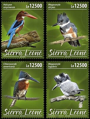 #ad KINGFISHERS 4 Value MNH Birds Bird Stamp Set #676 2020 Sierra Leone