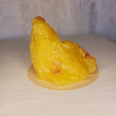 #ad Life Form By Nadco Healthcare 1 Pound Fat Replica On Base Medical Model
