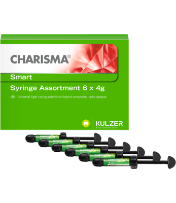 #ad Kulzer Charisma Smart Dental Composite Restorative 6 Syr Kit Free Ship