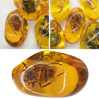 #ad Beautiful Amber Hornet Fossil Insects Manual Polishing 2024 FAST{