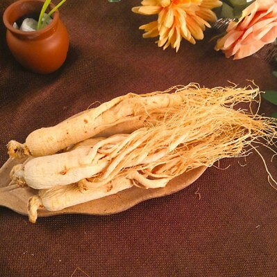 #ad Dried KoreanChinese Panax White Ginseng Roots ren shen roots about 6 Years Old